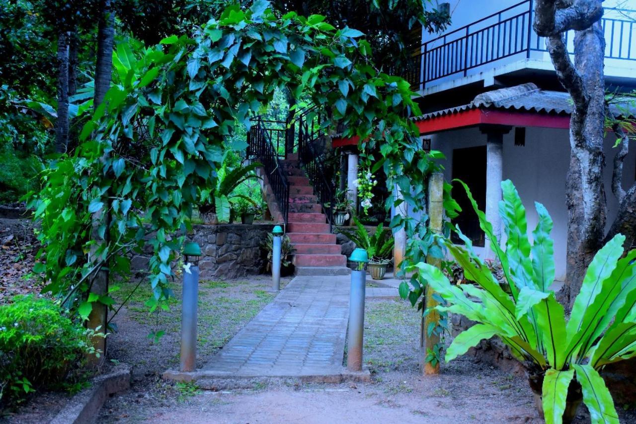 Hotel Wild Heaven Udawalawe Exterior foto