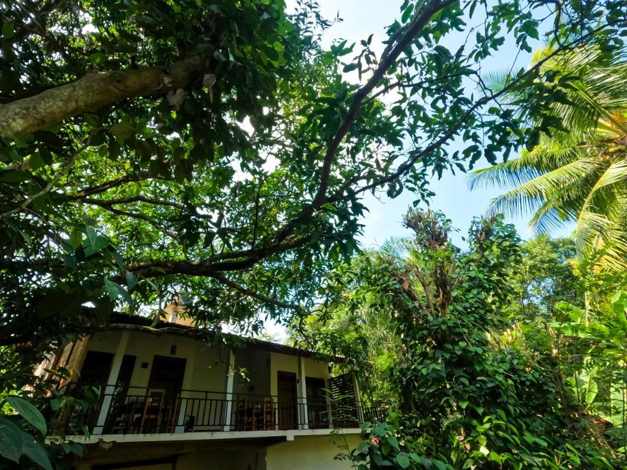 Hotel Wild Heaven Udawalawe Exterior foto