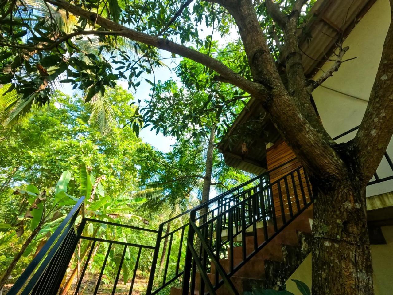 Hotel Wild Heaven Udawalawe Exterior foto