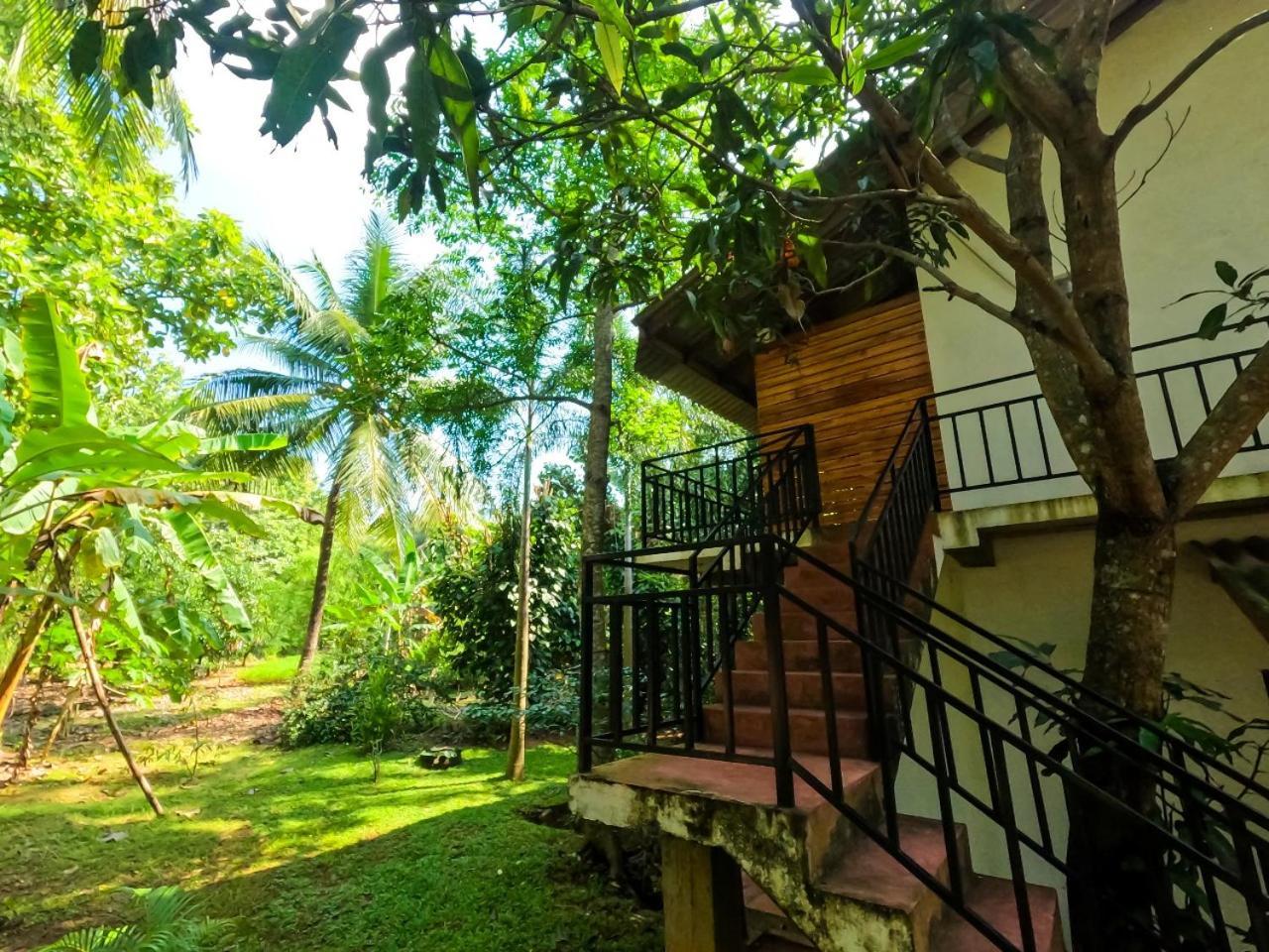 Hotel Wild Heaven Udawalawe Exterior foto